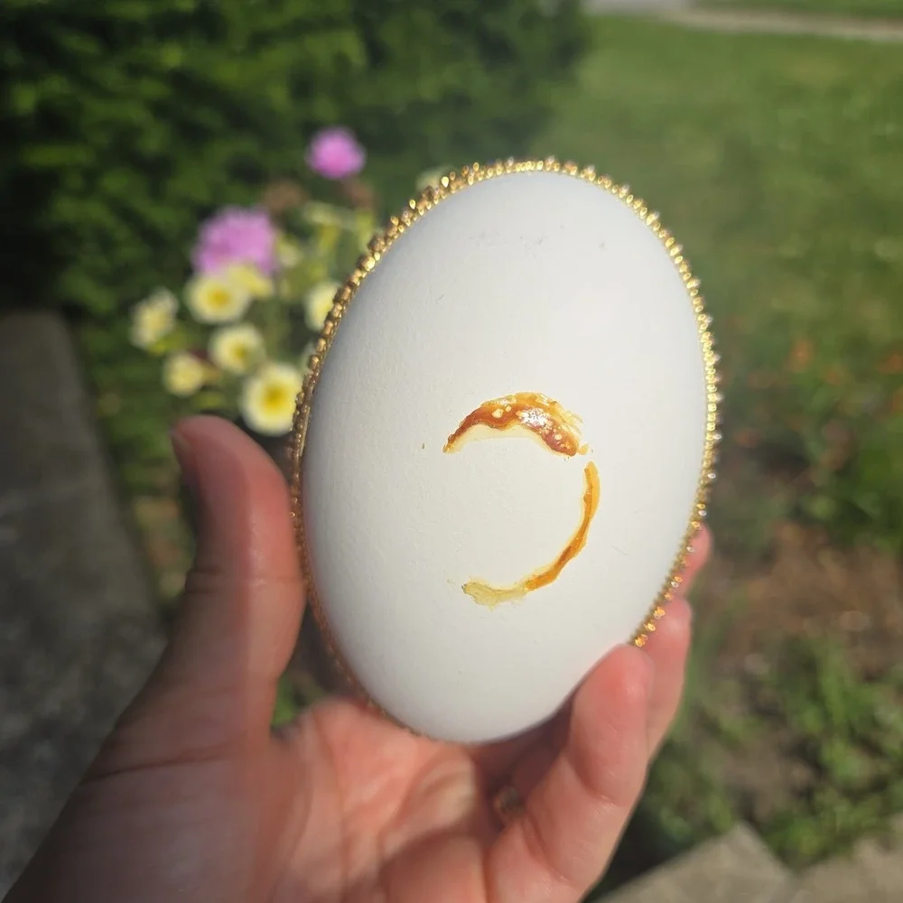 Decorated Egg Trinket Box Satin Line By Eggspressions Easter Decor. Flaw!